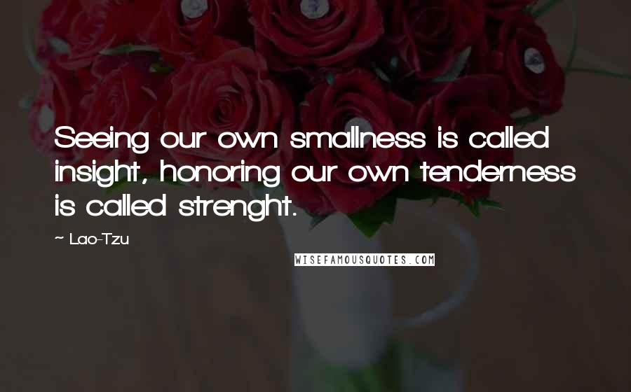 Lao-Tzu Quotes: Seeing our own smallness is called insight, honoring our own tenderness is called strenght.