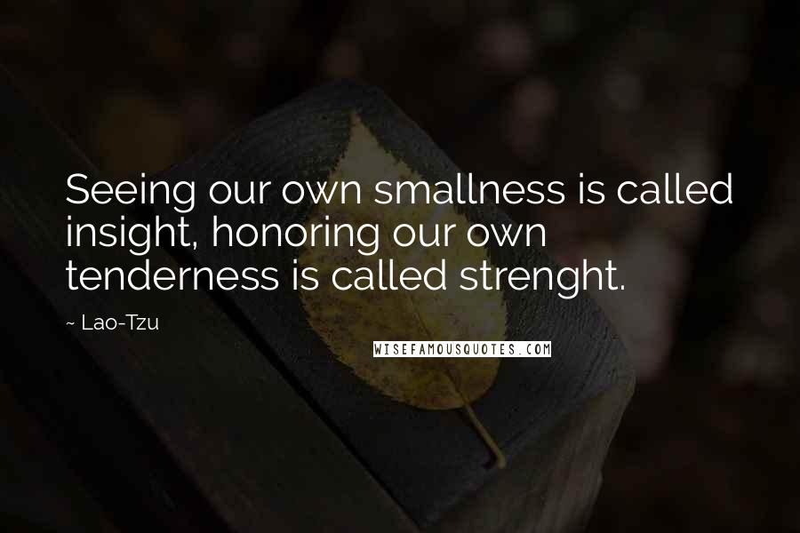 Lao-Tzu Quotes: Seeing our own smallness is called insight, honoring our own tenderness is called strenght.