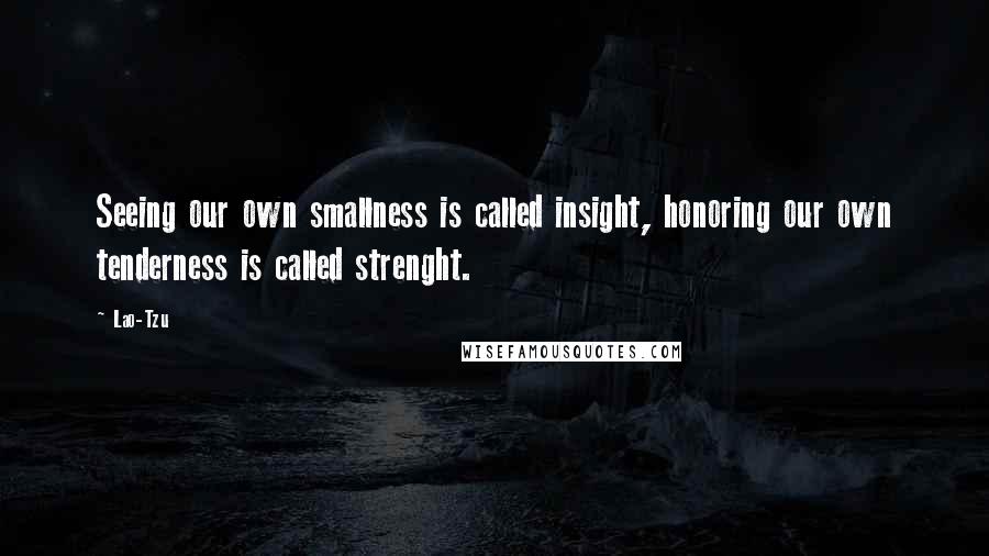 Lao-Tzu Quotes: Seeing our own smallness is called insight, honoring our own tenderness is called strenght.