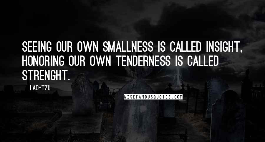 Lao-Tzu Quotes: Seeing our own smallness is called insight, honoring our own tenderness is called strenght.