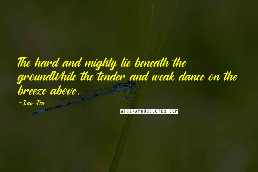 Lao-Tzu Quotes: The hard and mighty lie beneath the groundWhile the tender and weak dance on the breeze above.