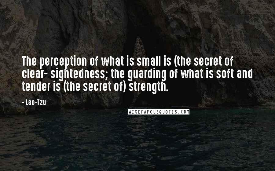 Lao-Tzu Quotes: The perception of what is small is (the secret of clear- sightedness; the guarding of what is soft and tender is (the secret of) strength.