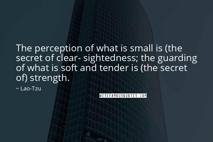 Lao-Tzu Quotes: The perception of what is small is (the secret of clear- sightedness; the guarding of what is soft and tender is (the secret of) strength.