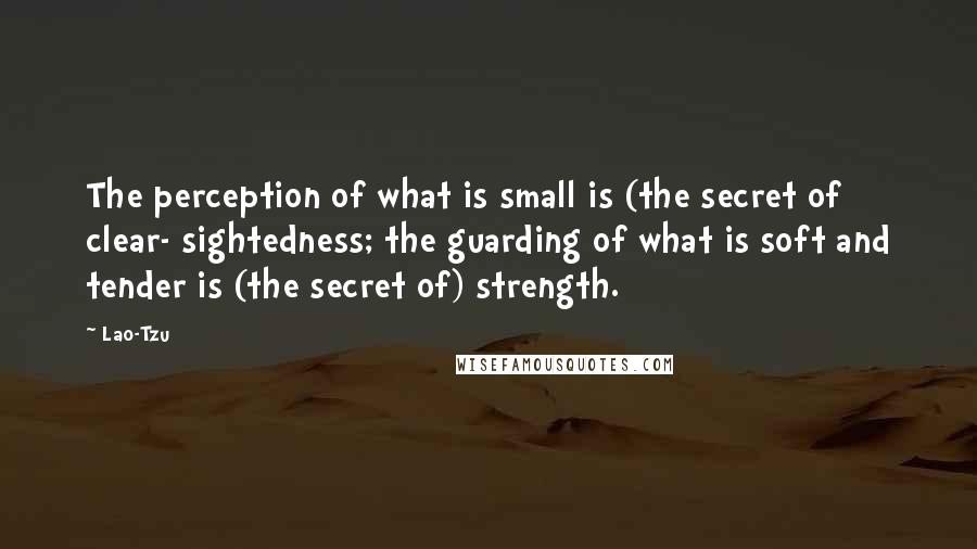 Lao-Tzu Quotes: The perception of what is small is (the secret of clear- sightedness; the guarding of what is soft and tender is (the secret of) strength.