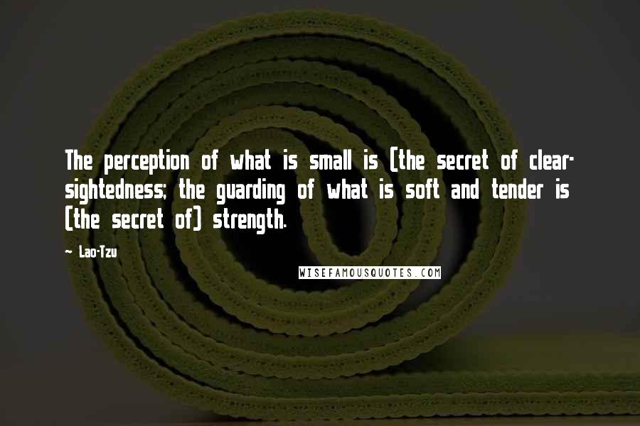 Lao-Tzu Quotes: The perception of what is small is (the secret of clear- sightedness; the guarding of what is soft and tender is (the secret of) strength.