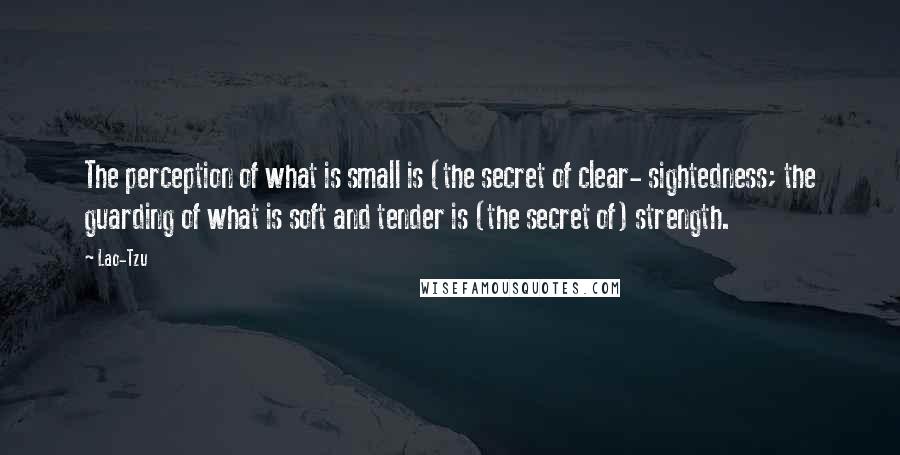 Lao-Tzu Quotes: The perception of what is small is (the secret of clear- sightedness; the guarding of what is soft and tender is (the secret of) strength.