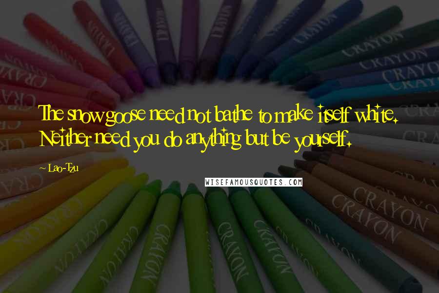 Lao-Tzu Quotes: The snow goose need not bathe to make itself white. Neither need you do anything but be yourself.