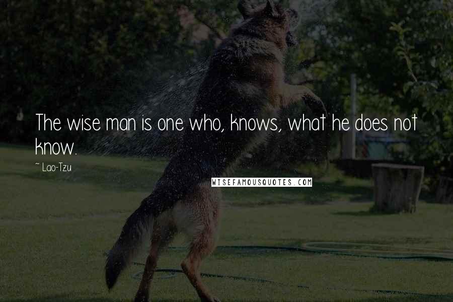 Lao-Tzu Quotes: The wise man is one who, knows, what he does not know.