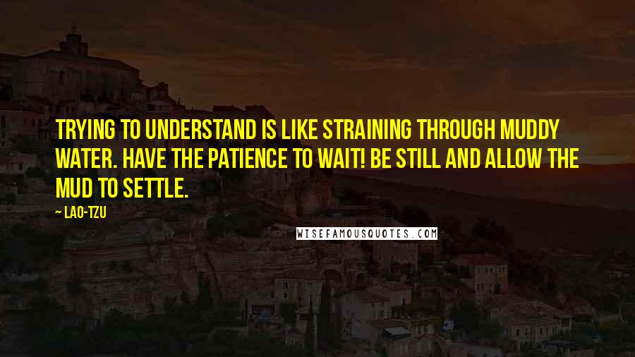 Lao-Tzu Quotes: Trying to understand is like straining through muddy water. Have the patience to wait! Be still and allow the mud to settle.