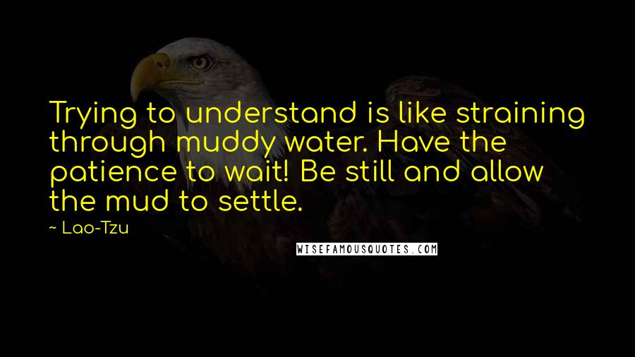 Lao-Tzu Quotes: Trying to understand is like straining through muddy water. Have the patience to wait! Be still and allow the mud to settle.