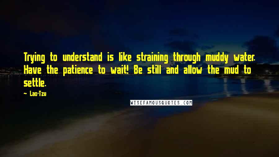 Lao-Tzu Quotes: Trying to understand is like straining through muddy water. Have the patience to wait! Be still and allow the mud to settle.