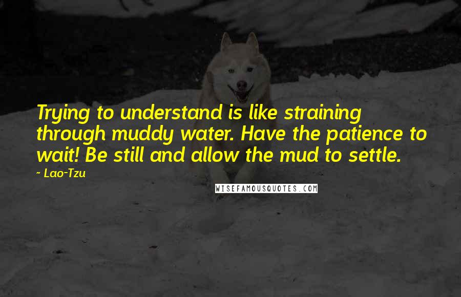 Lao-Tzu Quotes: Trying to understand is like straining through muddy water. Have the patience to wait! Be still and allow the mud to settle.