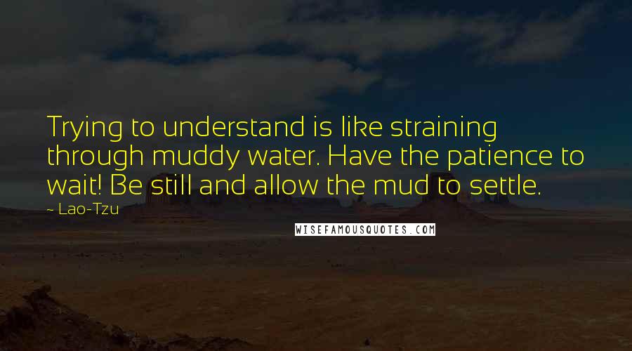 Lao-Tzu Quotes: Trying to understand is like straining through muddy water. Have the patience to wait! Be still and allow the mud to settle.