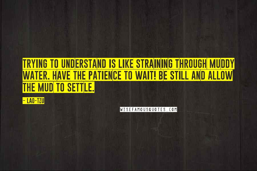 Lao-Tzu Quotes: Trying to understand is like straining through muddy water. Have the patience to wait! Be still and allow the mud to settle.