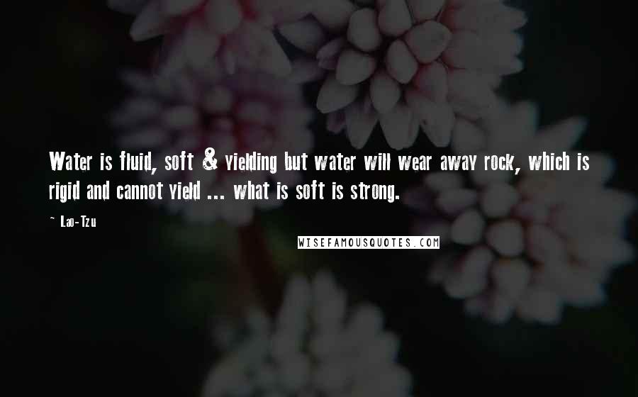 Lao-Tzu Quotes: Water is fluid, soft & yielding but water will wear away rock, which is rigid and cannot yield ... what is soft is strong.