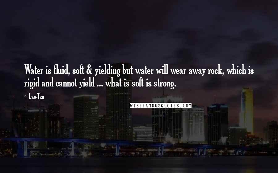 Lao-Tzu Quotes: Water is fluid, soft & yielding but water will wear away rock, which is rigid and cannot yield ... what is soft is strong.