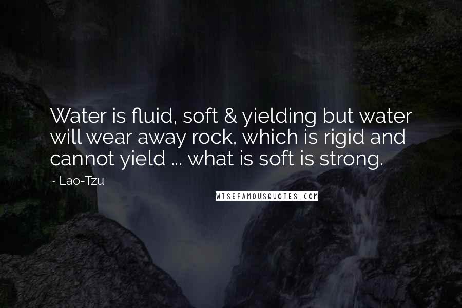 Lao-Tzu Quotes: Water is fluid, soft & yielding but water will wear away rock, which is rigid and cannot yield ... what is soft is strong.