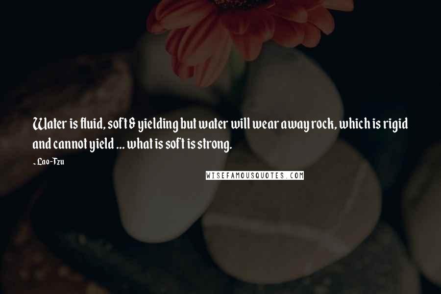 Lao-Tzu Quotes: Water is fluid, soft & yielding but water will wear away rock, which is rigid and cannot yield ... what is soft is strong.