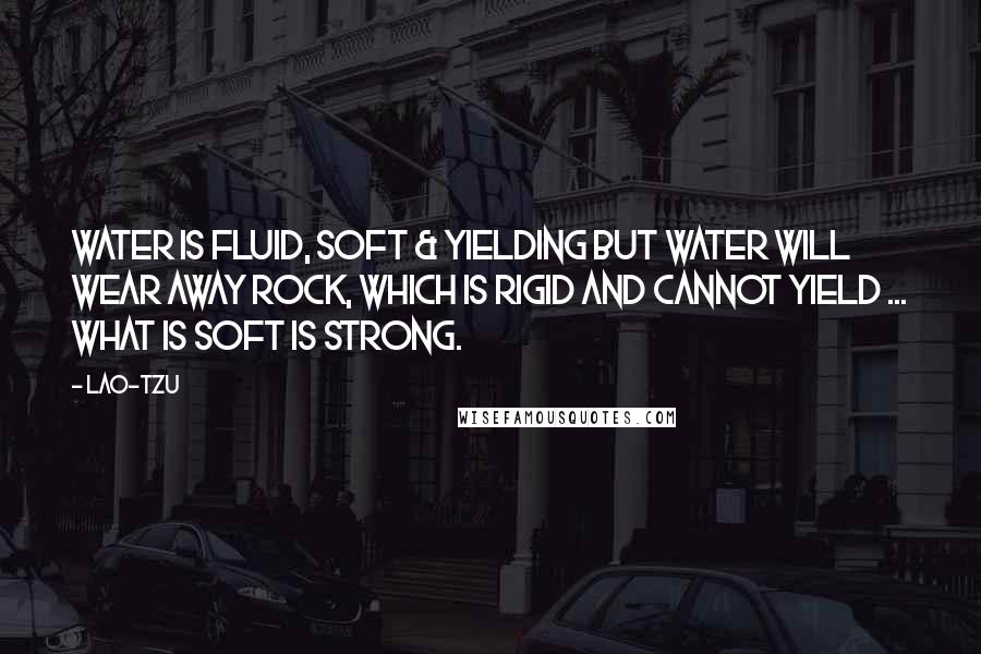 Lao-Tzu Quotes: Water is fluid, soft & yielding but water will wear away rock, which is rigid and cannot yield ... what is soft is strong.