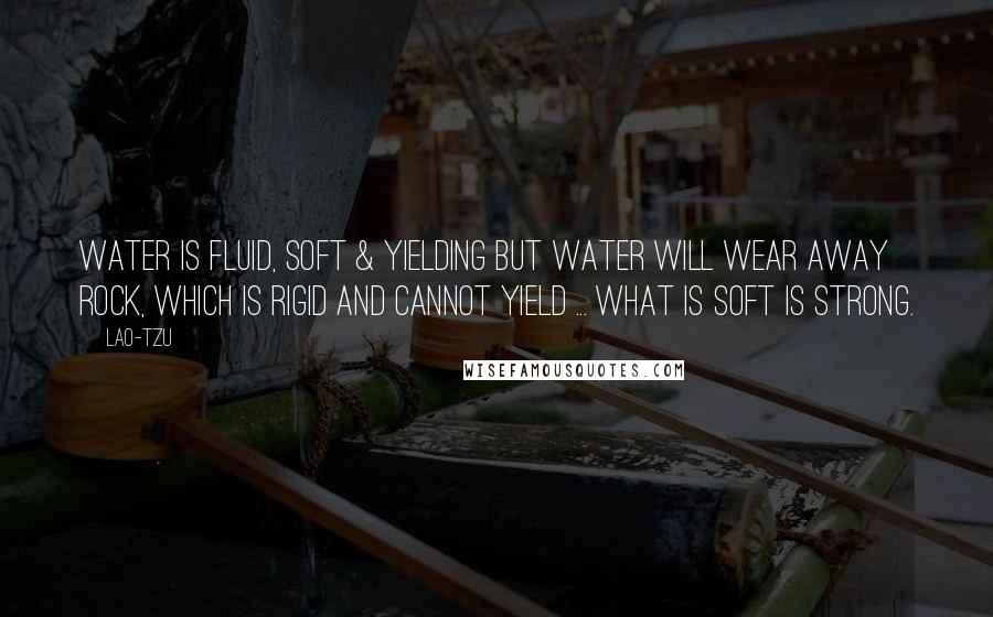 Lao-Tzu Quotes: Water is fluid, soft & yielding but water will wear away rock, which is rigid and cannot yield ... what is soft is strong.