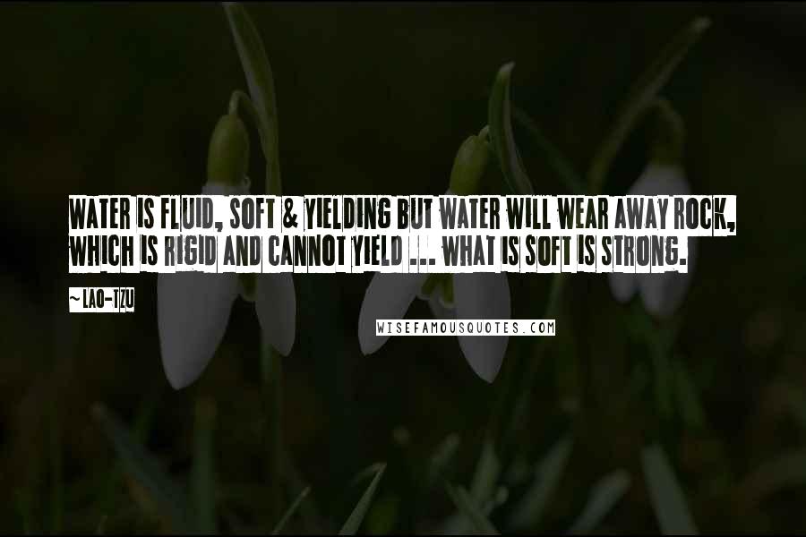 Lao-Tzu Quotes: Water is fluid, soft & yielding but water will wear away rock, which is rigid and cannot yield ... what is soft is strong.