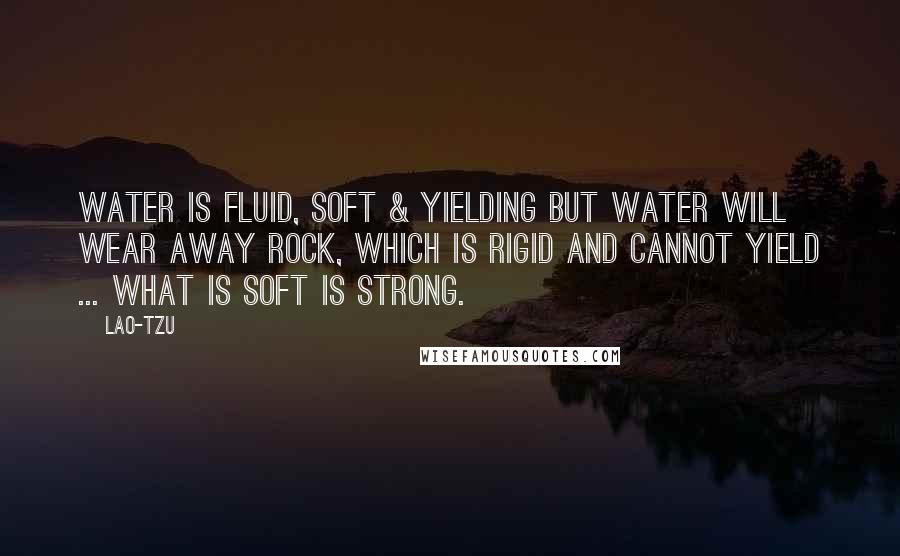 Lao-Tzu Quotes: Water is fluid, soft & yielding but water will wear away rock, which is rigid and cannot yield ... what is soft is strong.