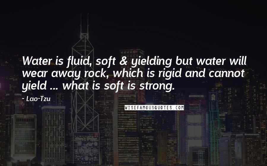 Lao-Tzu Quotes: Water is fluid, soft & yielding but water will wear away rock, which is rigid and cannot yield ... what is soft is strong.