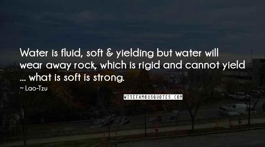 Lao-Tzu Quotes: Water is fluid, soft & yielding but water will wear away rock, which is rigid and cannot yield ... what is soft is strong.