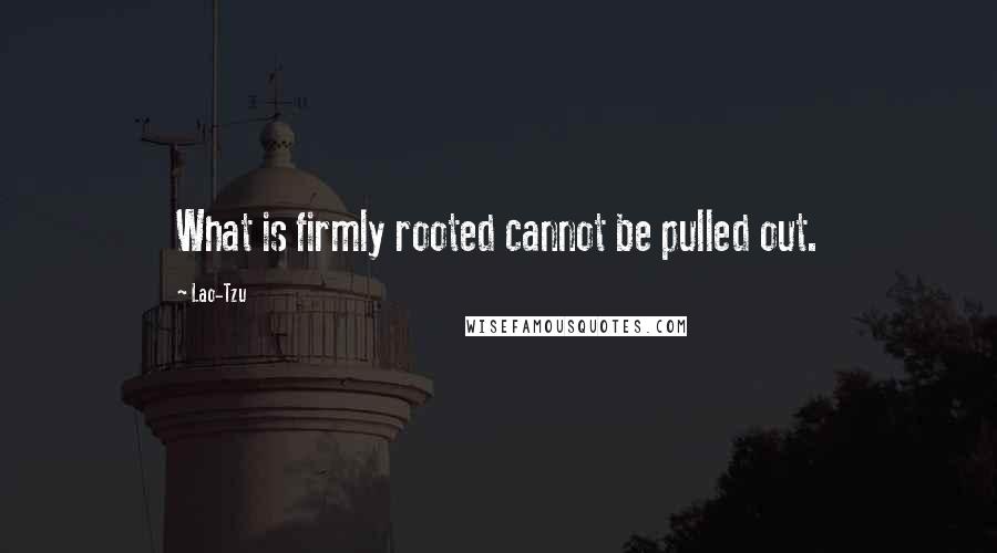 Lao-Tzu Quotes: What is firmly rooted cannot be pulled out.