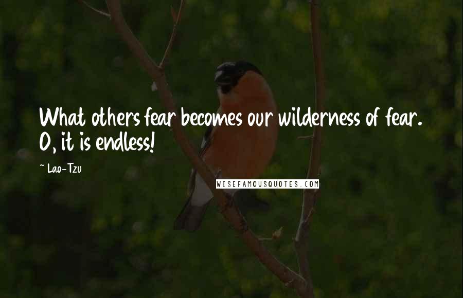 Lao-Tzu Quotes: What others fear becomes our wilderness of fear. O, it is endless!