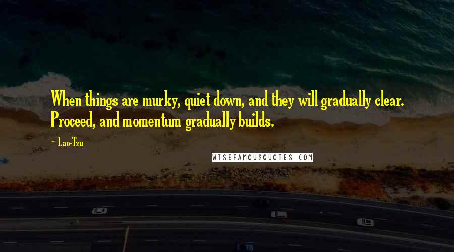 Lao-Tzu Quotes: When things are murky, quiet down, and they will gradually clear. Proceed, and momentum gradually builds.