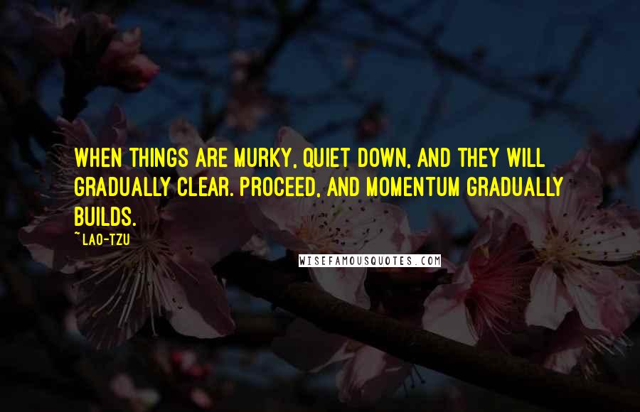 Lao-Tzu Quotes: When things are murky, quiet down, and they will gradually clear. Proceed, and momentum gradually builds.