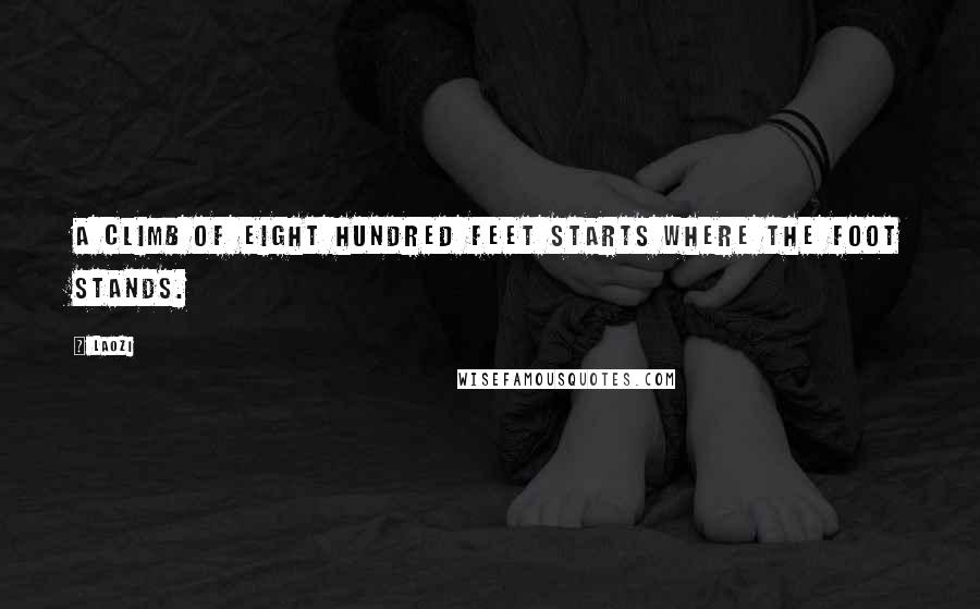 Laozi Quotes: A climb of eight hundred feet starts where the foot stands.