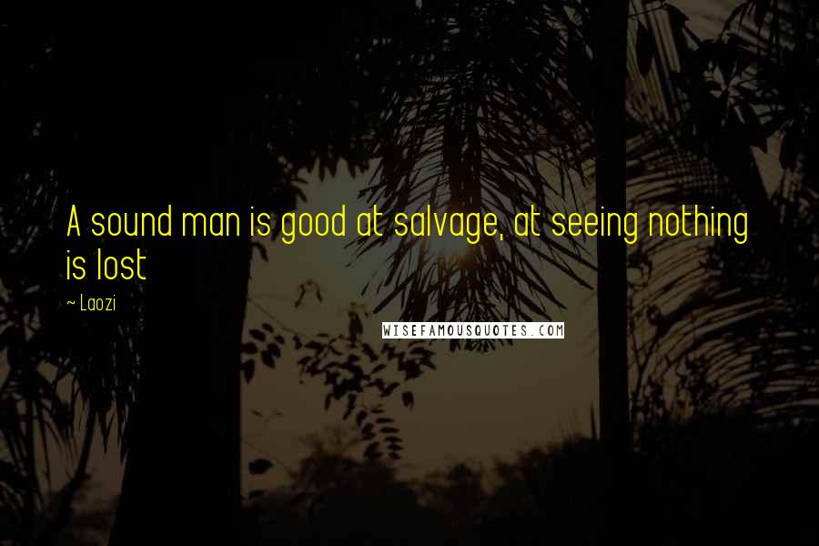 Laozi Quotes: A sound man is good at salvage, at seeing nothing is lost