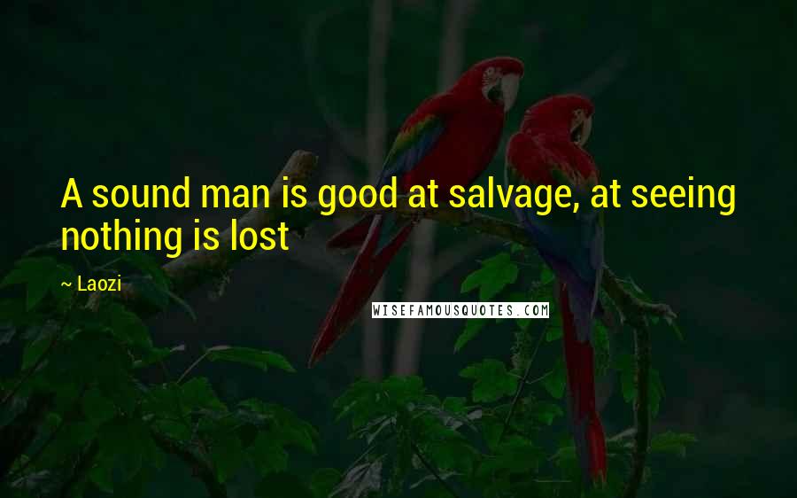 Laozi Quotes: A sound man is good at salvage, at seeing nothing is lost