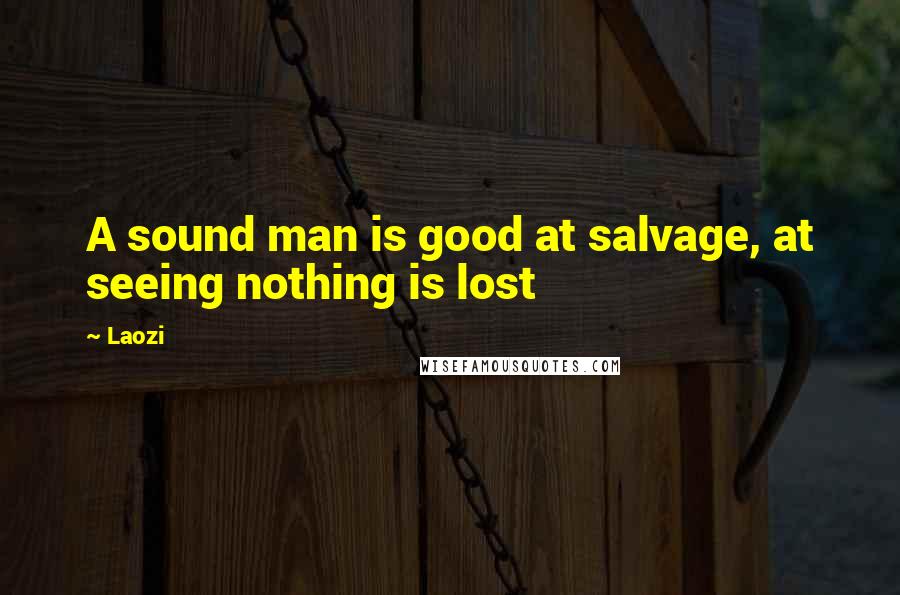 Laozi Quotes: A sound man is good at salvage, at seeing nothing is lost