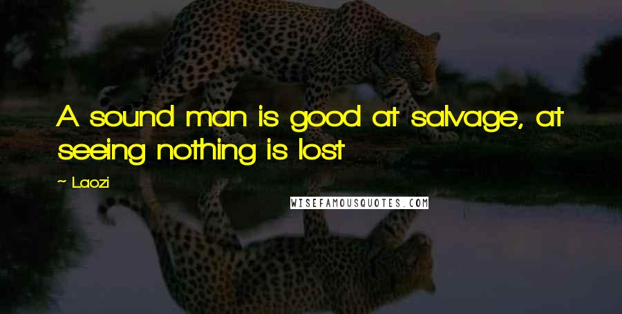 Laozi Quotes: A sound man is good at salvage, at seeing nothing is lost