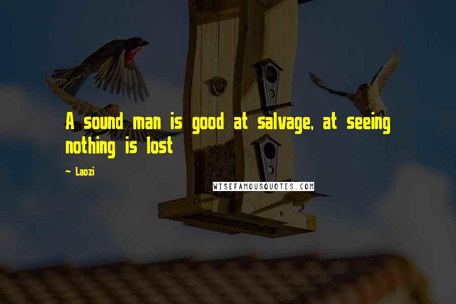 Laozi Quotes: A sound man is good at salvage, at seeing nothing is lost