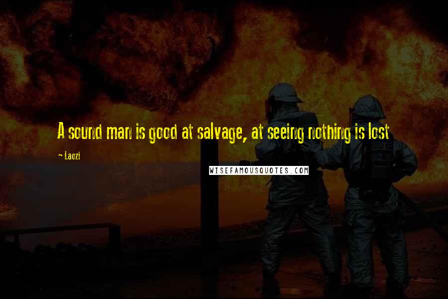 Laozi Quotes: A sound man is good at salvage, at seeing nothing is lost