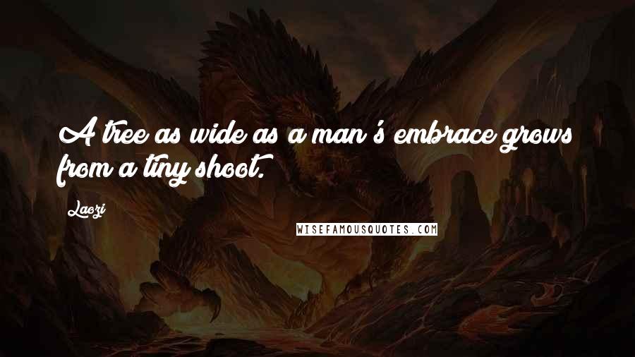 Laozi Quotes: A tree as wide as a man's embrace grows from a tiny shoot.
