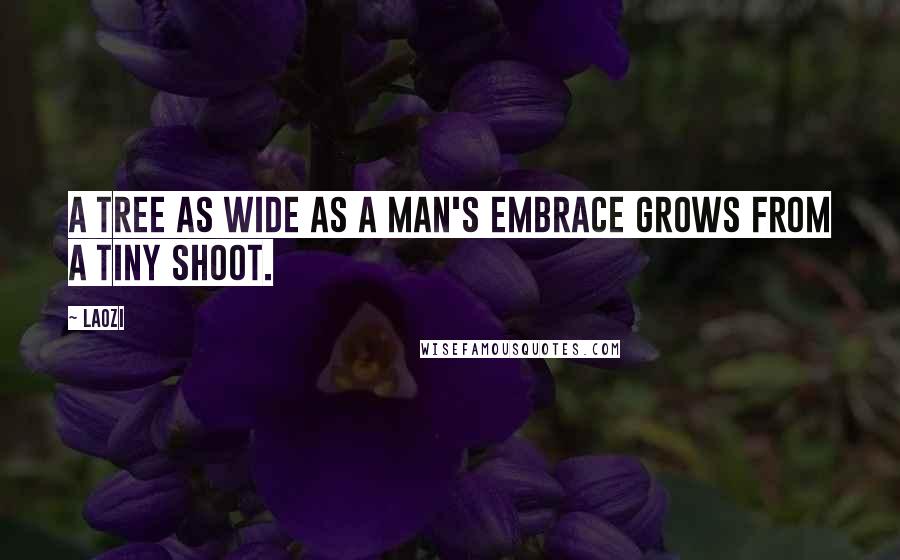 Laozi Quotes: A tree as wide as a man's embrace grows from a tiny shoot.