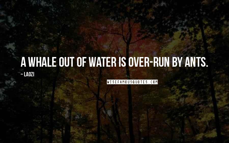 Laozi Quotes: A whale out of water is over-run by ants.