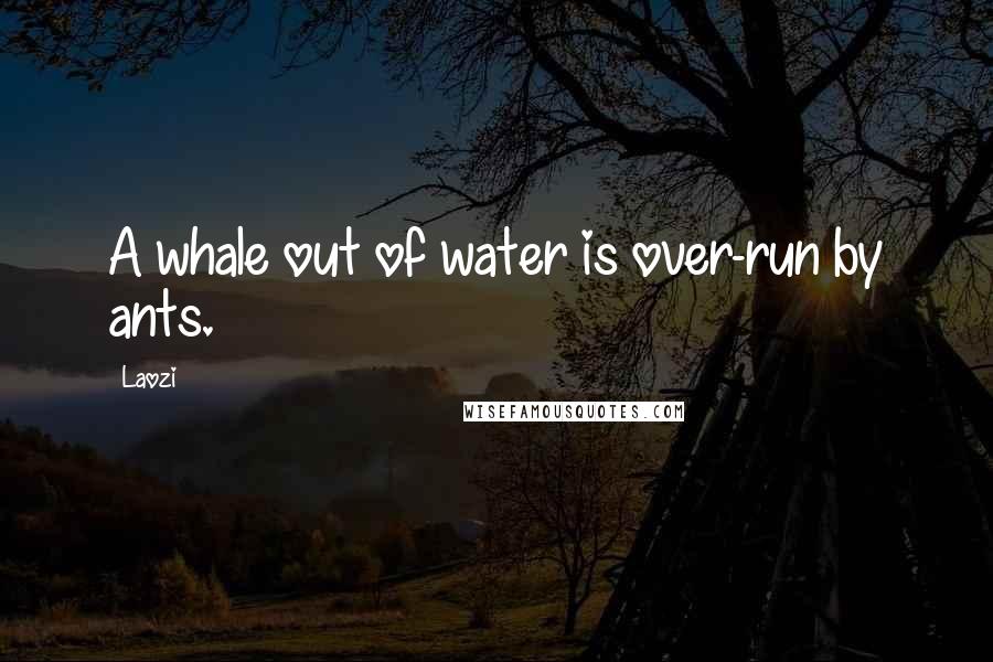 Laozi Quotes: A whale out of water is over-run by ants.