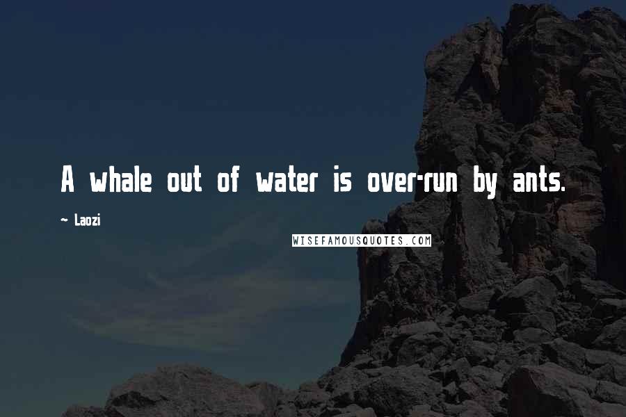 Laozi Quotes: A whale out of water is over-run by ants.