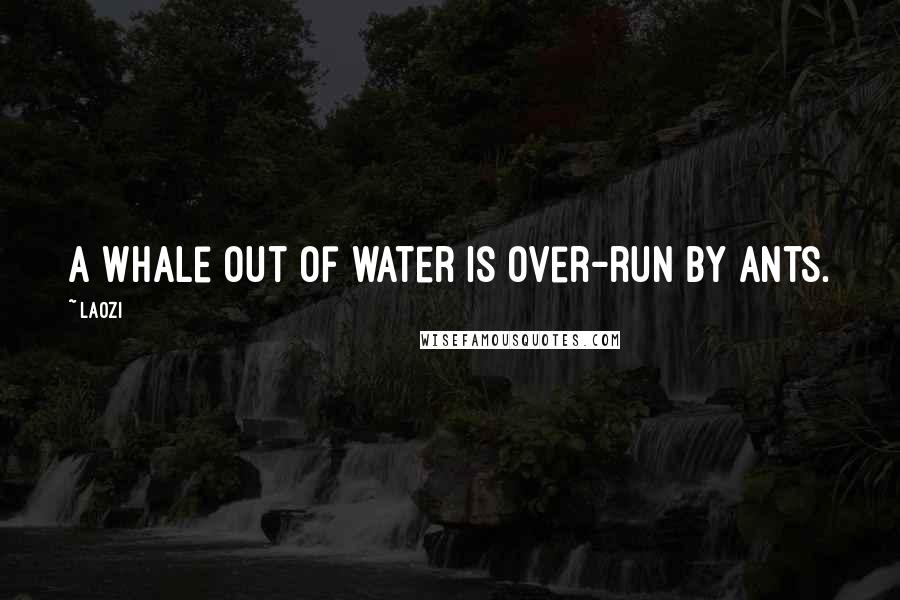 Laozi Quotes: A whale out of water is over-run by ants.