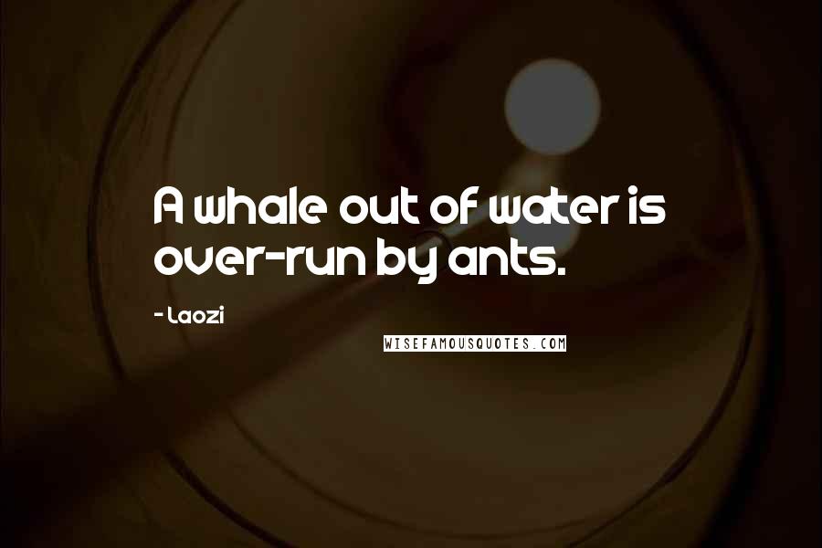 Laozi Quotes: A whale out of water is over-run by ants.