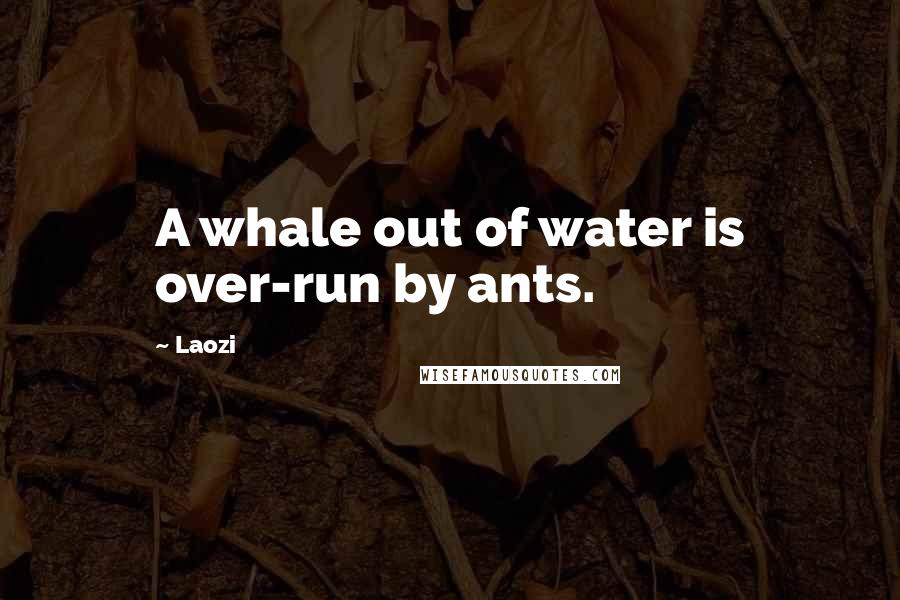 Laozi Quotes: A whale out of water is over-run by ants.