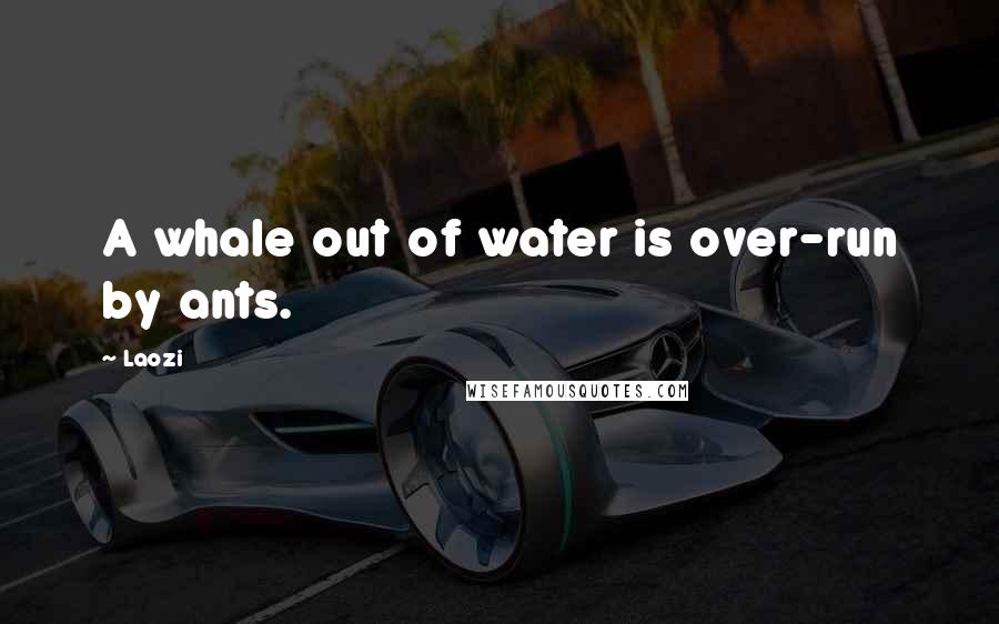 Laozi Quotes: A whale out of water is over-run by ants.
