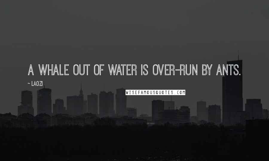Laozi Quotes: A whale out of water is over-run by ants.