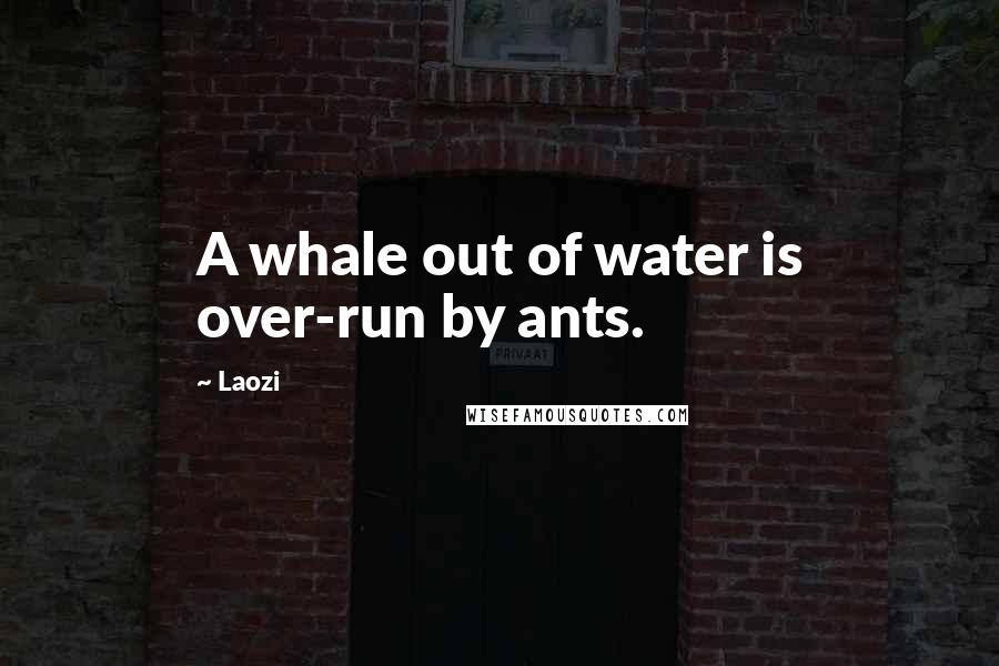 Laozi Quotes: A whale out of water is over-run by ants.